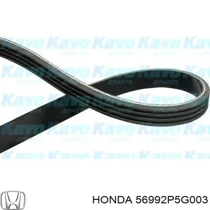 56992P5G003 Honda Поліклиновий ремінь