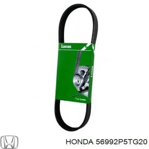 Ремінь генератора 56992P5TG20 Honda