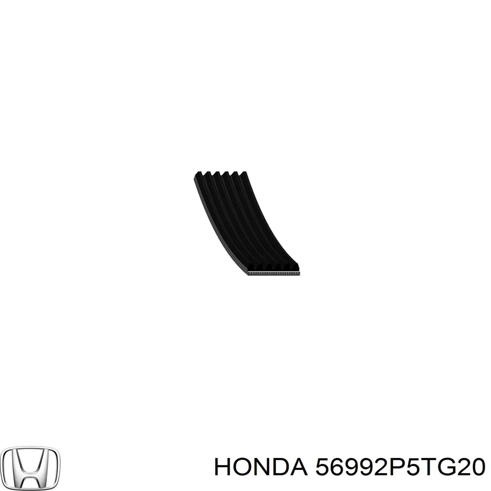 Клиновий ремінь Honda 56992P5TG20 ціна, від 14.08 USD