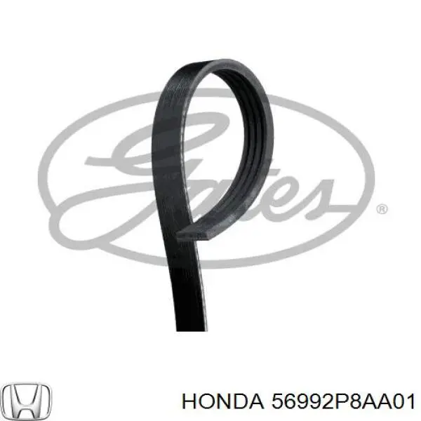 Ремінь генератора 56992P8AA01 Honda