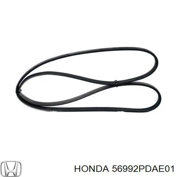 Купити 56992PDAE01 Honda Ремінь генератора