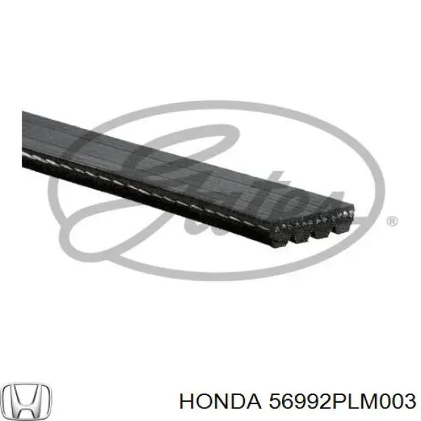 Клиновий ремінь Honda 56992PLM003 ціна, від 6.73 USD