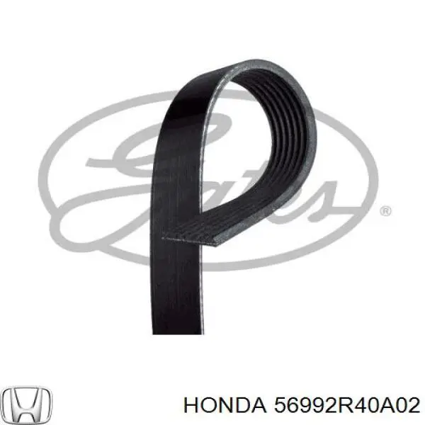 56992R40A02 Honda Поліклиновий ремінь