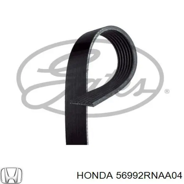 Ремінь генератора 56992RNAA01 Honda