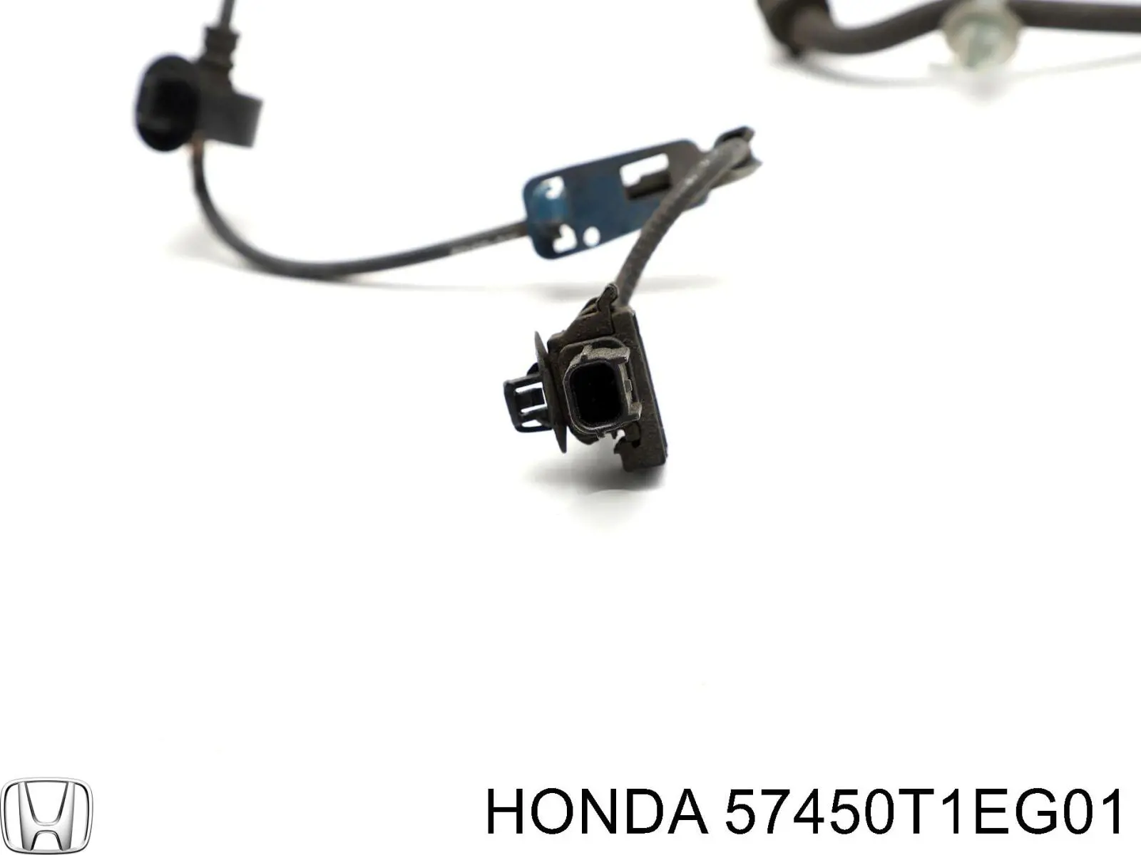 57450T1EG01 Honda датчик абс (abs передній, правий)