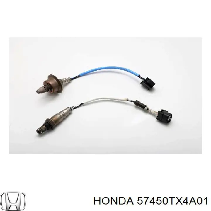 Датчик АБС (ABS) передній, правий 57450TX4A01 Honda