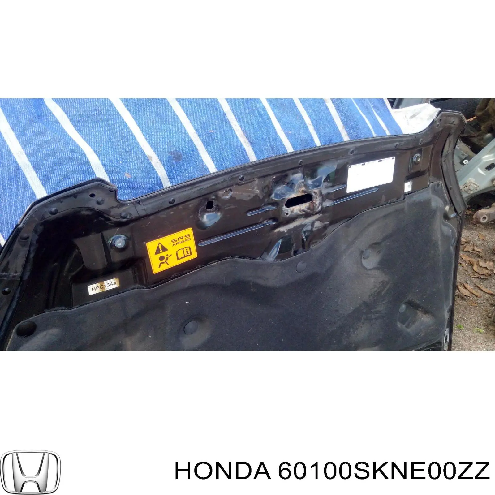 Капот Honda 60100SKNE00ZZ ціна, від 55.19 USD