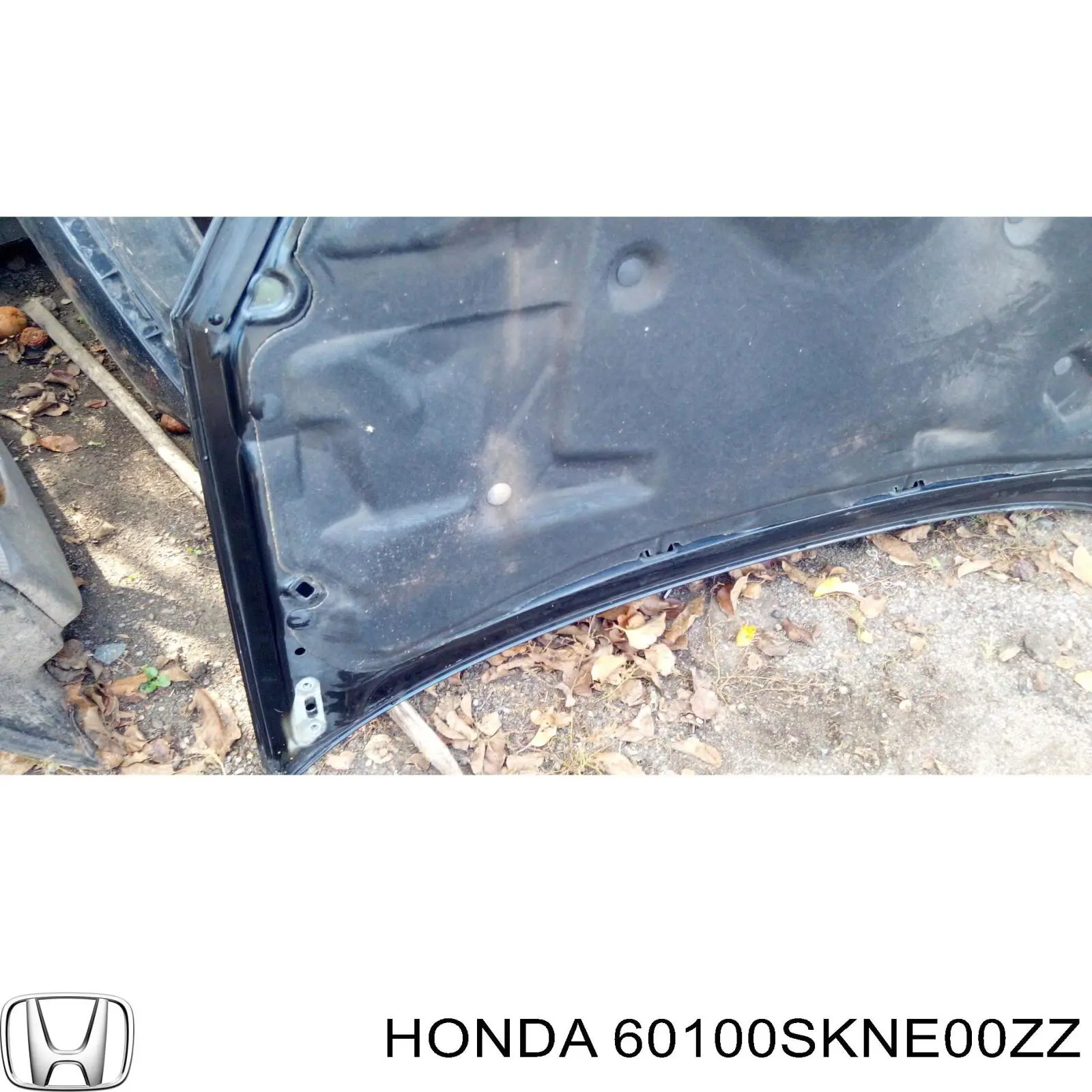 60100SKNE00ZZ Honda Капот