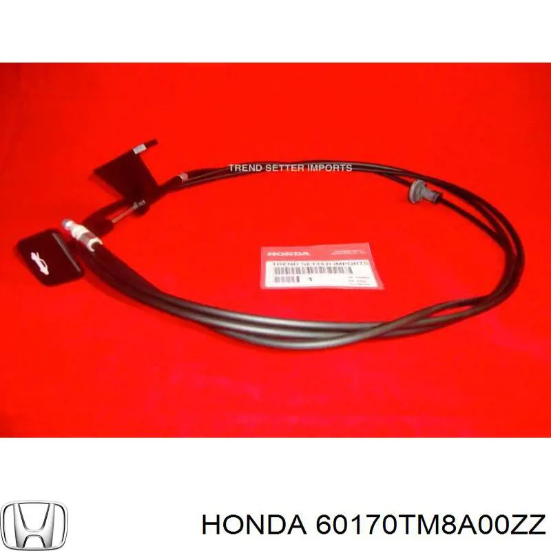 Петля капота, ліва 60170TM8A00ZZ Honda