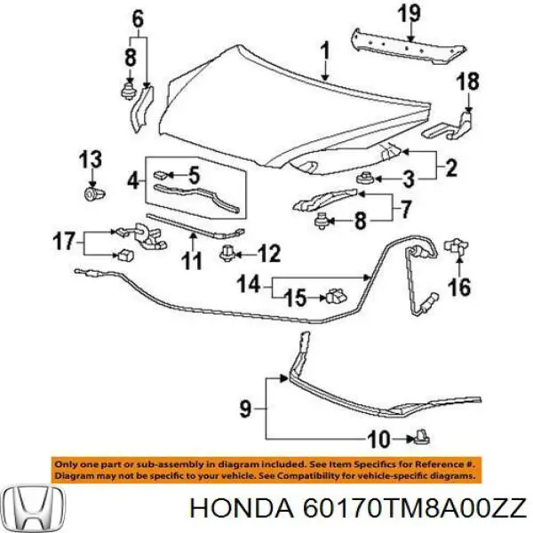 60170TM8A00ZZ Honda Завіс капота, лівий