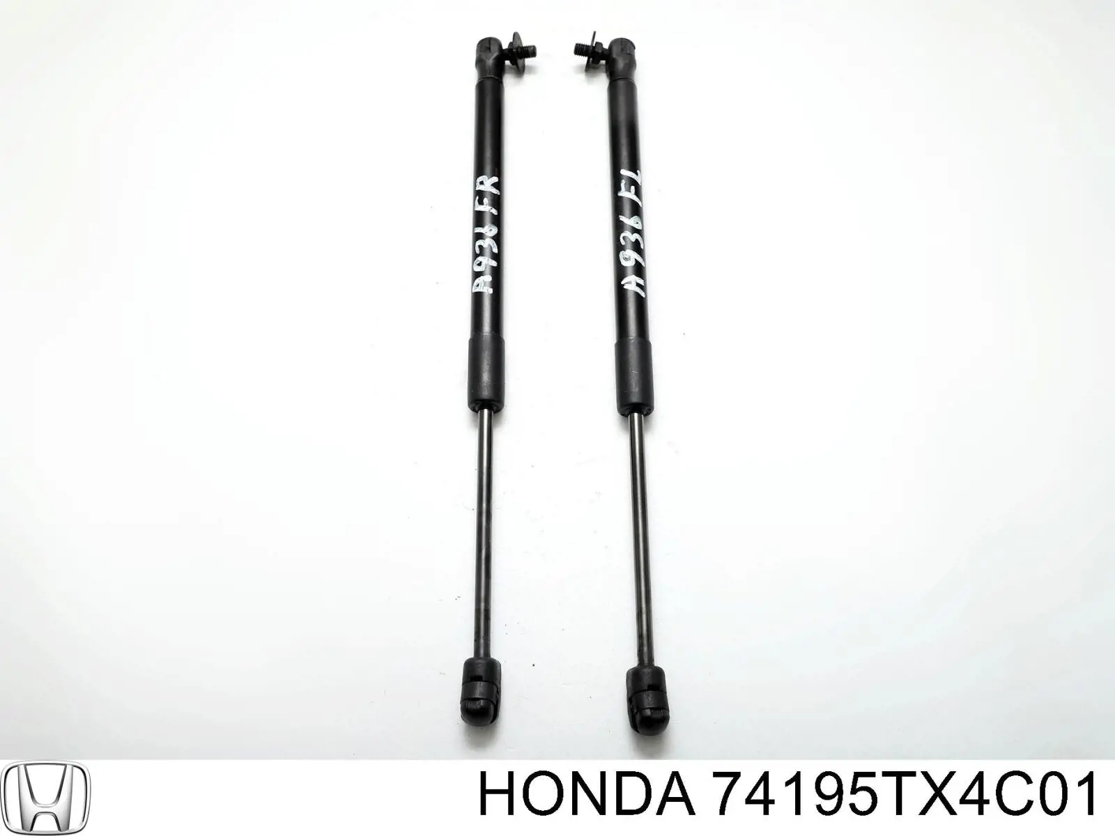  74195TX4C01 Honda