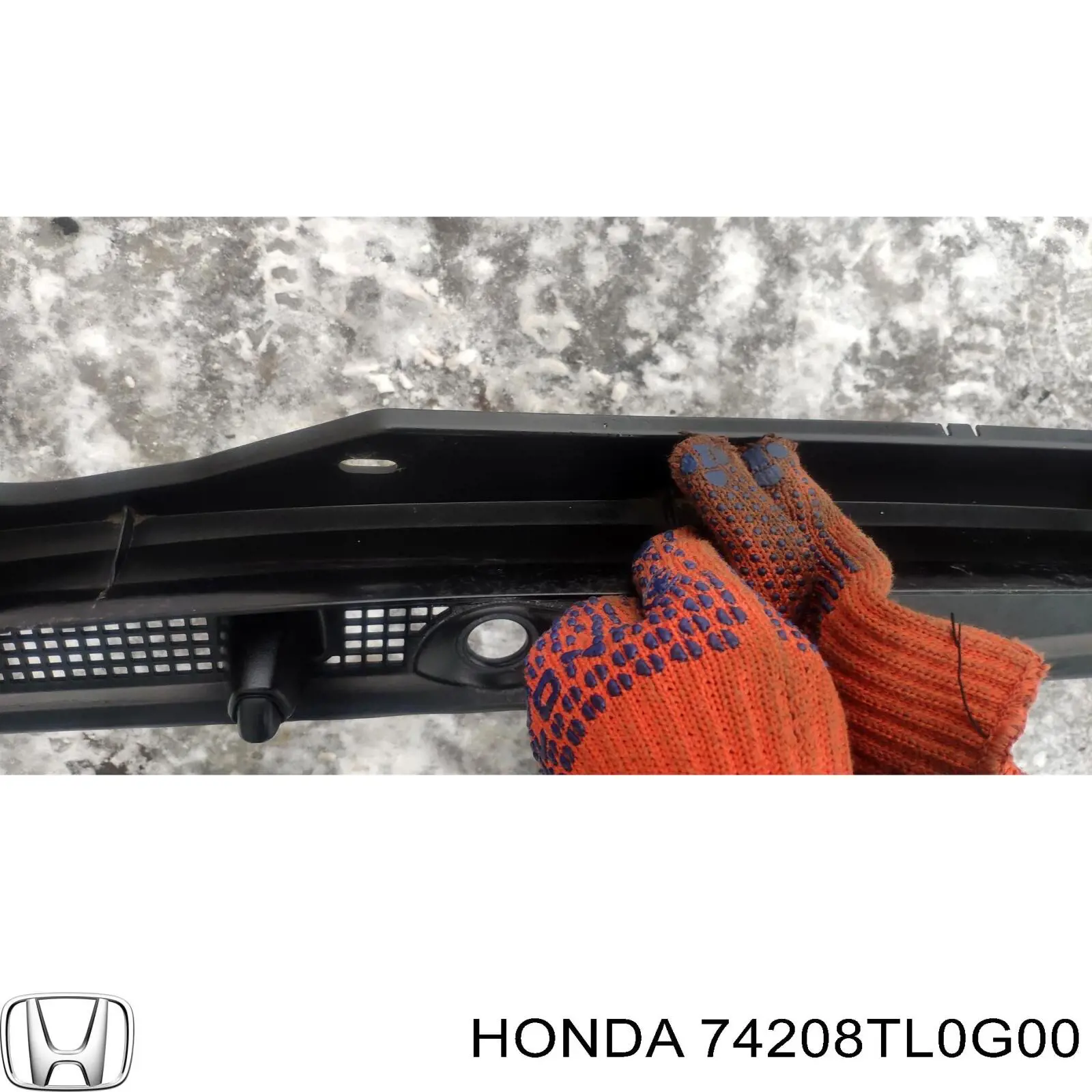  Honda 74208TL0G00 ціна, від 48.09 USD