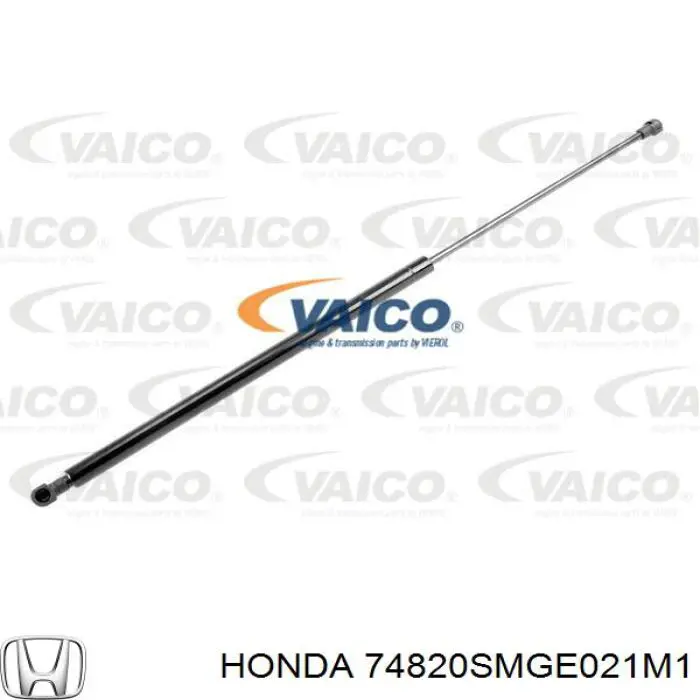 Купити 74820SMGE021M1 Honda Амортизатор двері багажника