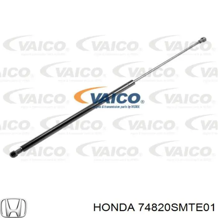 Амортизатор двері задньої Honda 74820SMTE01 ціна, від 9.95 USD