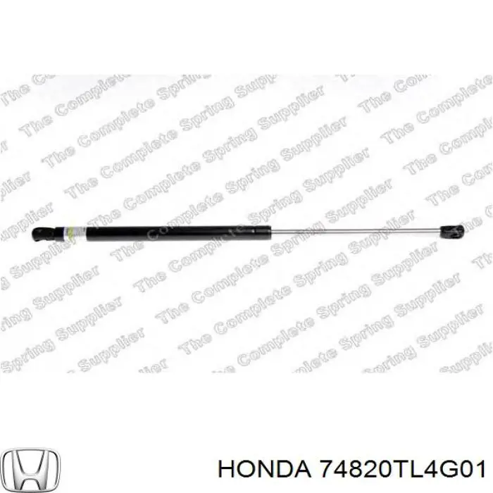 Амортизатор кришки багажника/ двері 3/5-ї задньої Honda Accord 8 (CW) (Хонда Аккорд)