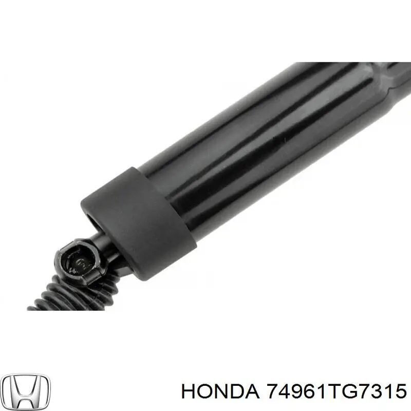 Амортизатор двері задньої NTY AEHD026 ціна, від 114.02 USD