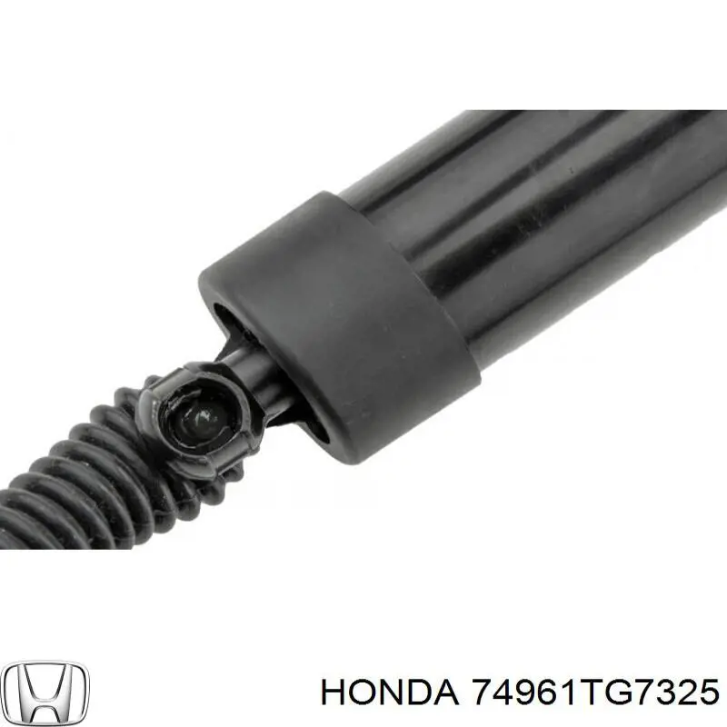 Амортизатор двері задньої NTY AEHD028 ціна, від 83.74 USD