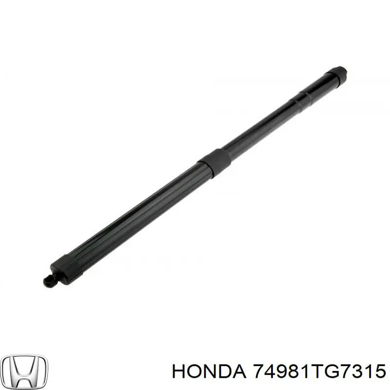 Амортизатор двері задньої NTY AEHD027 ціна, від 35.93 USD