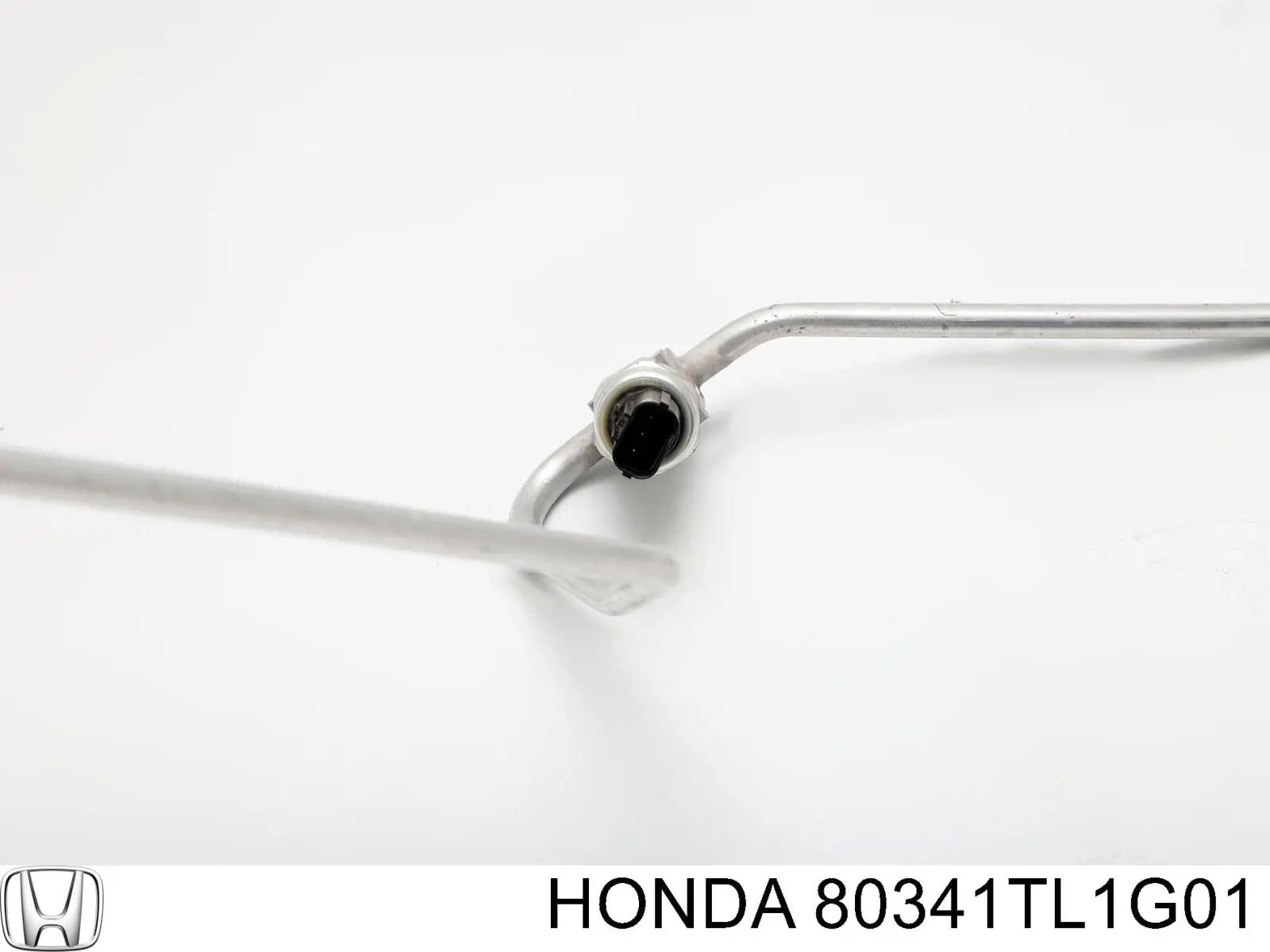  80341TL1G01 Honda