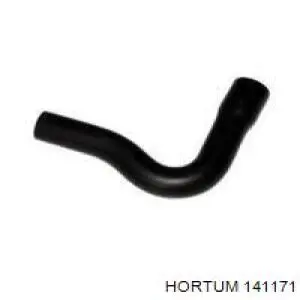 Купити 141171 Hortum 