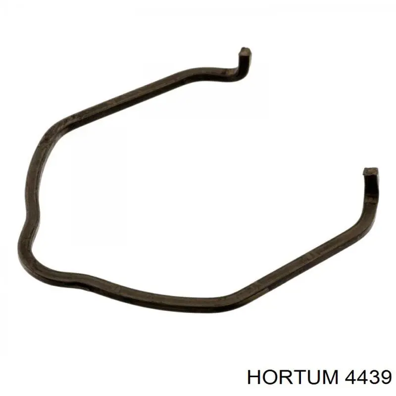  4439 Hortum