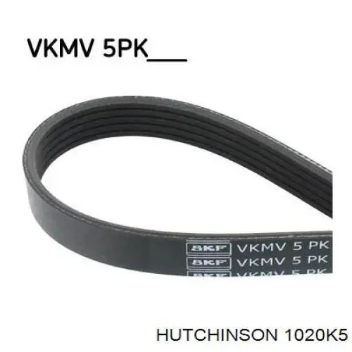 Купити 1020K5 Hutchinson Ремінь генератора