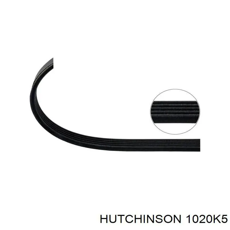 Клиновий ремінь Hutchinson 1020K5 ціна, від 8.61 USD