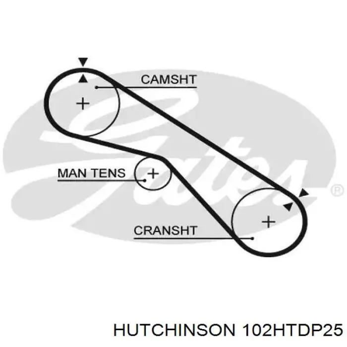 Ремінь ГРМ 102HTDP25 Hutchinson