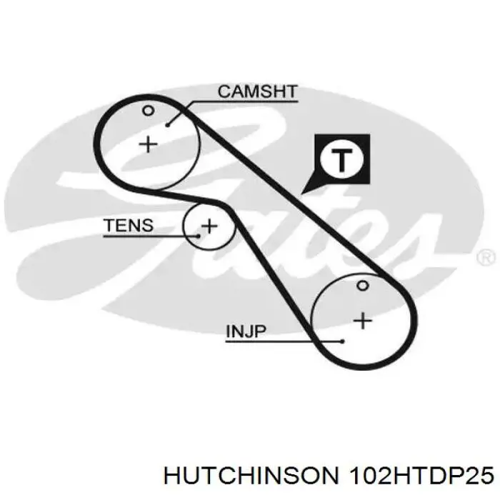 Купити 102HTDP25 Hutchinson Ремінь газорозподільного механізму