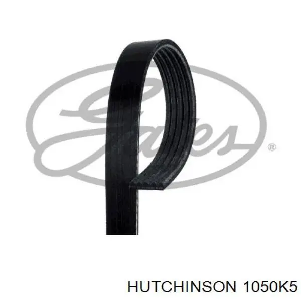 Купити 1050K5 Hutchinson Ремінь генератора