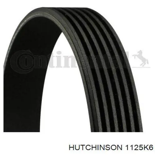 Купити 1125K6 Hutchinson Ремінь генератора