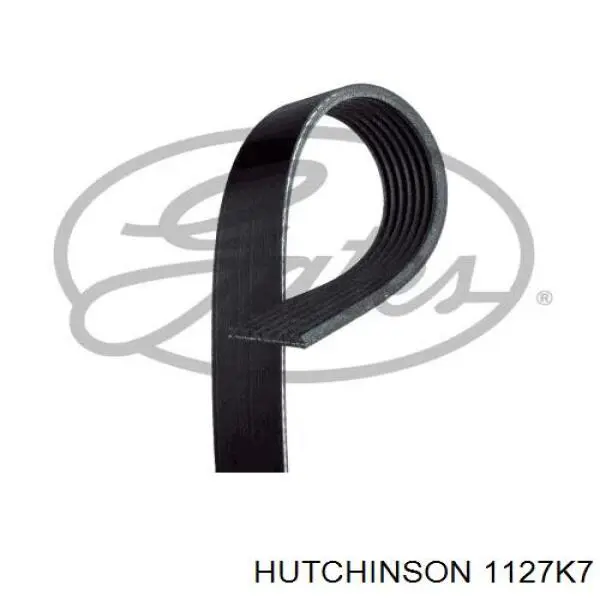 Клиновий ремінь Hutchinson 1127K7 ціна, від 10.14 USD