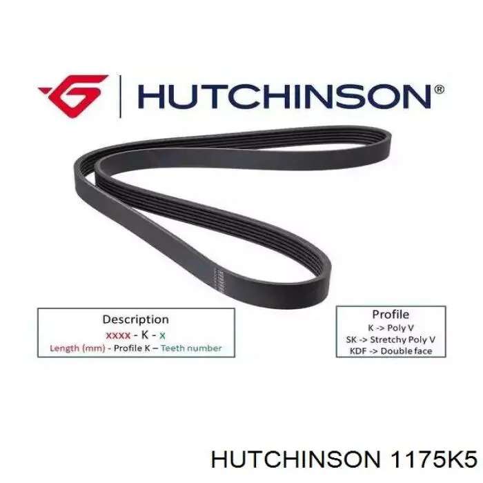 Купити 1175K5 Hutchinson Ремінь генератора