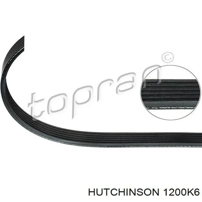 Клиновий ремінь Hutchinson 1200K6 ціна, від 9.10 USD