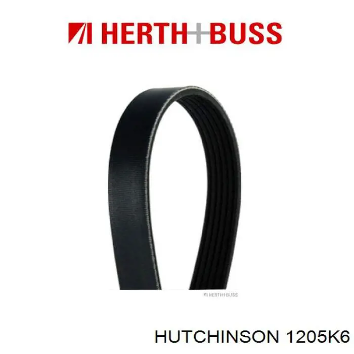 Купити 1205K6 Hutchinson Ремінь генератора