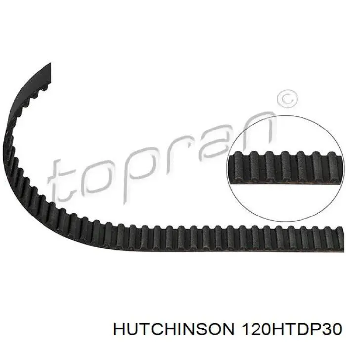 Купити 120HTDP30 Hutchinson Ремінь газорозподільного механізму