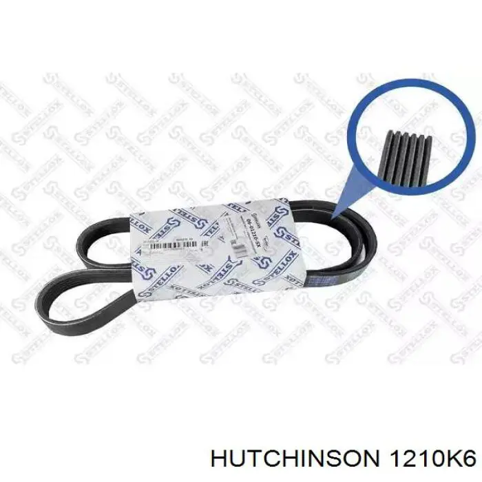 Купити 1210K6 Hutchinson Ремінь генератора