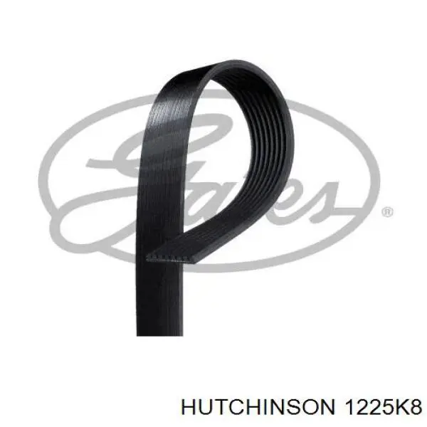 1225K8 Hutchinson Поліклиновий ремінь