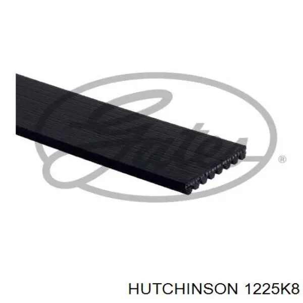 Клиновий ремінь Hutchinson 1225K8 ціна, від 13.08 USD