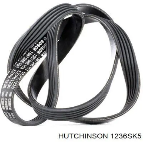 Клиновий ремінь Hutchinson 1236SK5 ціна, від 8.44 USD