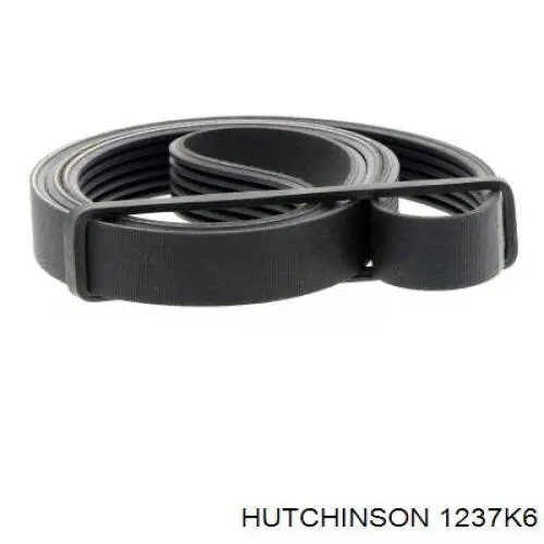 Клиновий ремінь Hutchinson 1237K6 ціна, від 11.51 USD