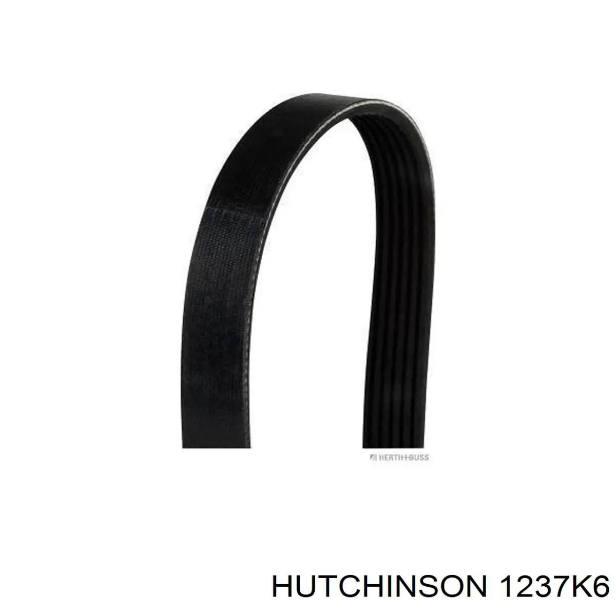 Ремінь генератора 1237K6 Hutchinson