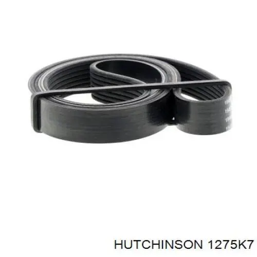Купити 1275K7 Hutchinson Ремінь генератора