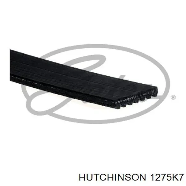 Клиновий ремінь Hutchinson 1275K7 ціна, від 11.70 USD