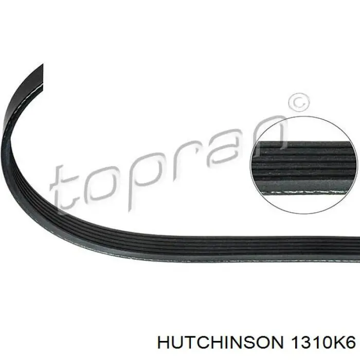Купити 1310K6 Hutchinson Ремінь генератора