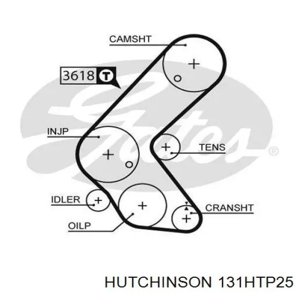 131HTP25 Hutchinson ремінь грм