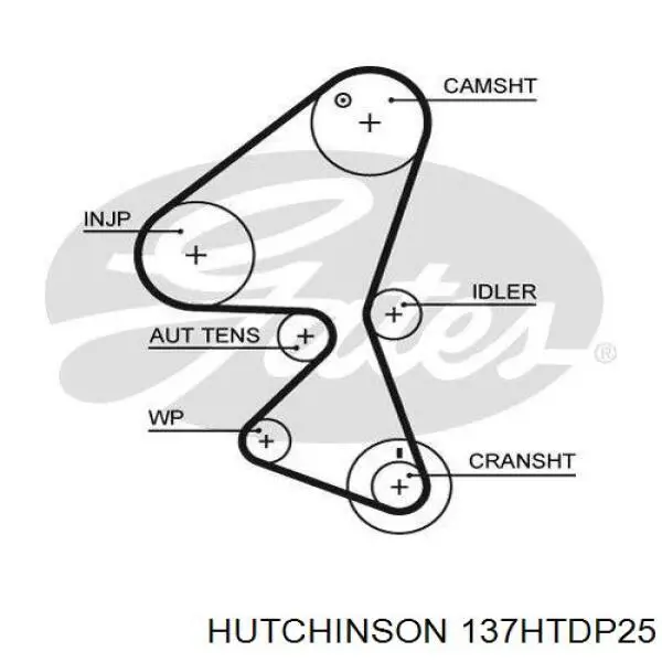 Зубчастий ремінь Hutchinson 137HTDP25 ціна, від 26.08 USD