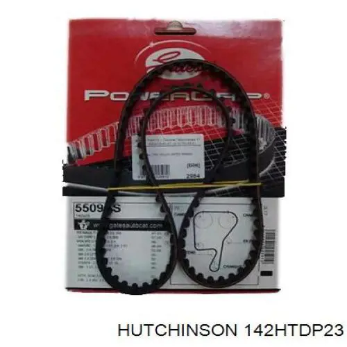 Купити 142HTDP23 Hutchinson Ремінь газорозподільного механізму