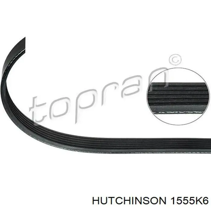 Клиновий ремінь Hutchinson 1555K6 ціна, від 12.54 USD