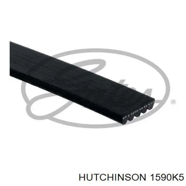 Купити 1590K5 Hutchinson Ремінь генератора